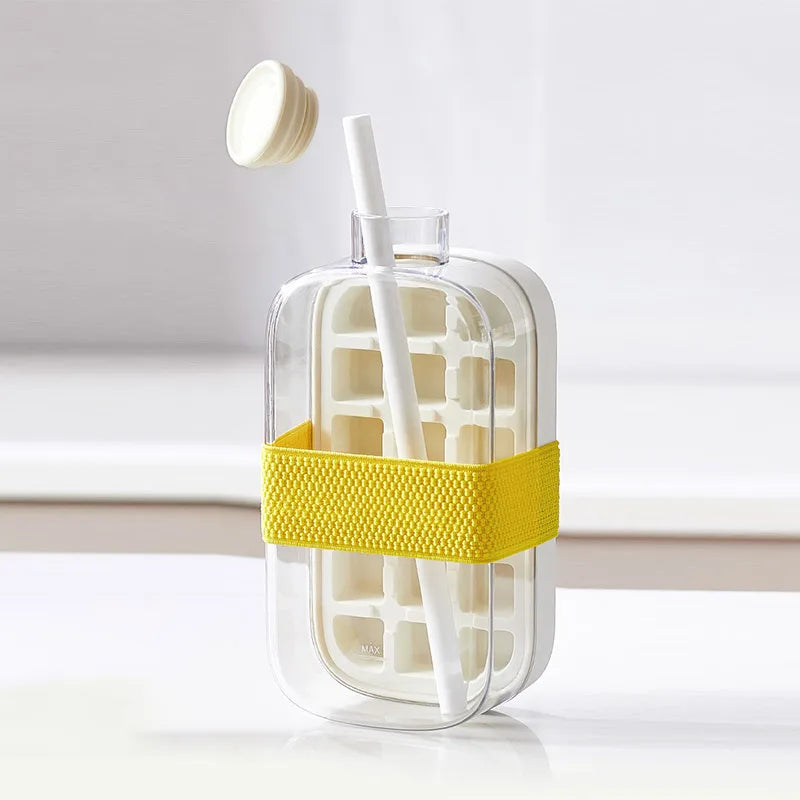 The Two In One Ice Cube Bottle
